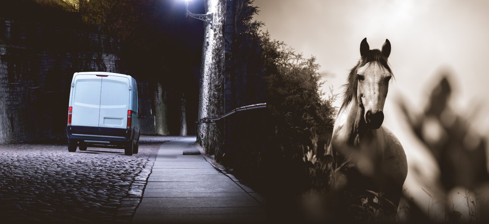 Horsebox and commercial vehicle